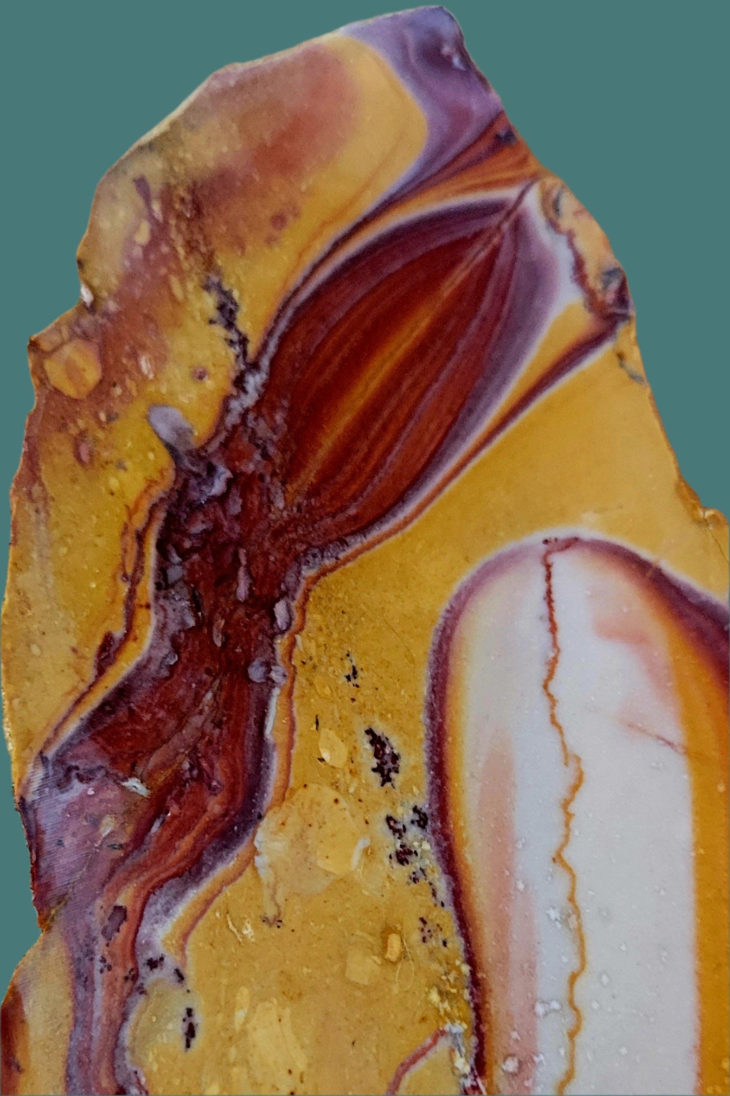 Lapidary Jasper Rainbow slab, approx. 4" x 2.5"