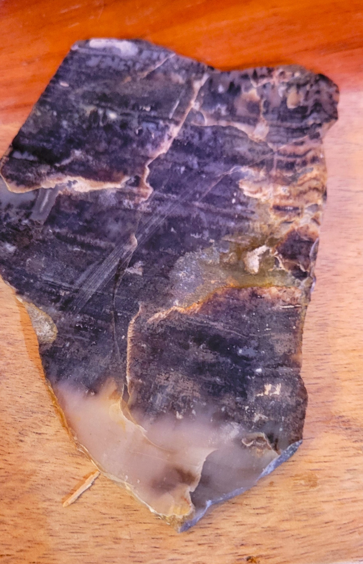 Lapidary Select Rock Slabs C: