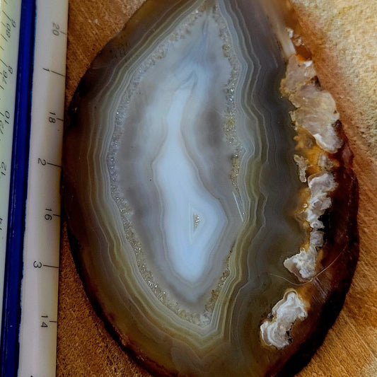 Lapidary Banded Agate Approx.. 4" x 2.5"