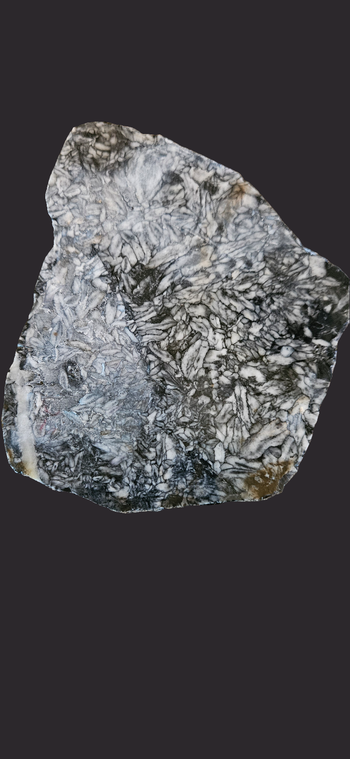Lapidary Penolith Approx. 4" x 3.5"